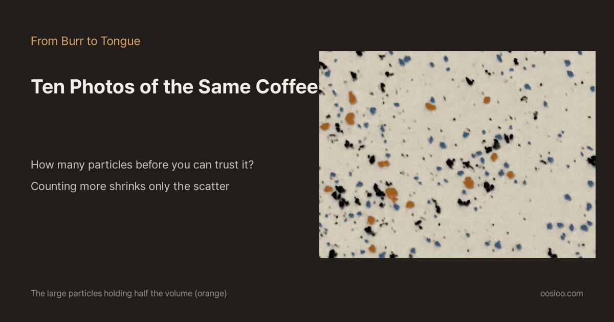 Dark background with the titles "From Burr to Tongue" and "Ten Photos of the Same Coffee" and the line "How many particles before you can trust it? Counting more shrinks only the scatter" on the left; on the right, a coffee-grounds photo with the large particles holding half the volume coloured orange and the rest blue