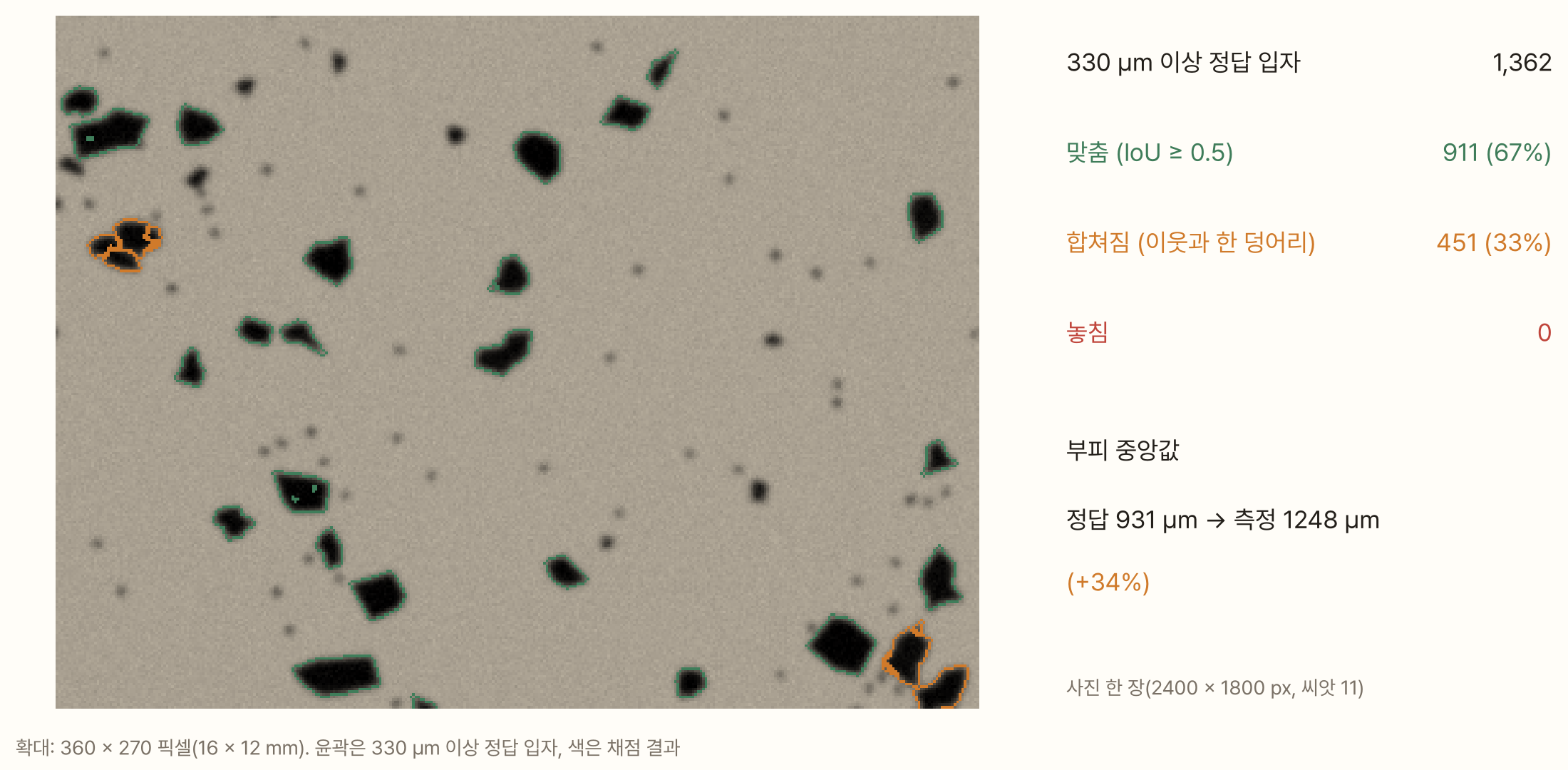 가짜 사진 한 부분을 확대한 그림. 검은 입자들의 가장자리에 초록 윤곽(맞춤)이 대부분이고, 두세 개가 붙은 덩어리에는 주황 윤곽(합쳐짐)이 있다. 오른쪽에는 330 µm 이상 정답 입자 1,362개 가운데 맞춤 911개(67%), 합쳐짐 451개(33%), 놓침 0개, 부피 중앙값은 정답 931 µm에서 측정 1,248 µm로 34% 크다는 숫자가 적혀 있다