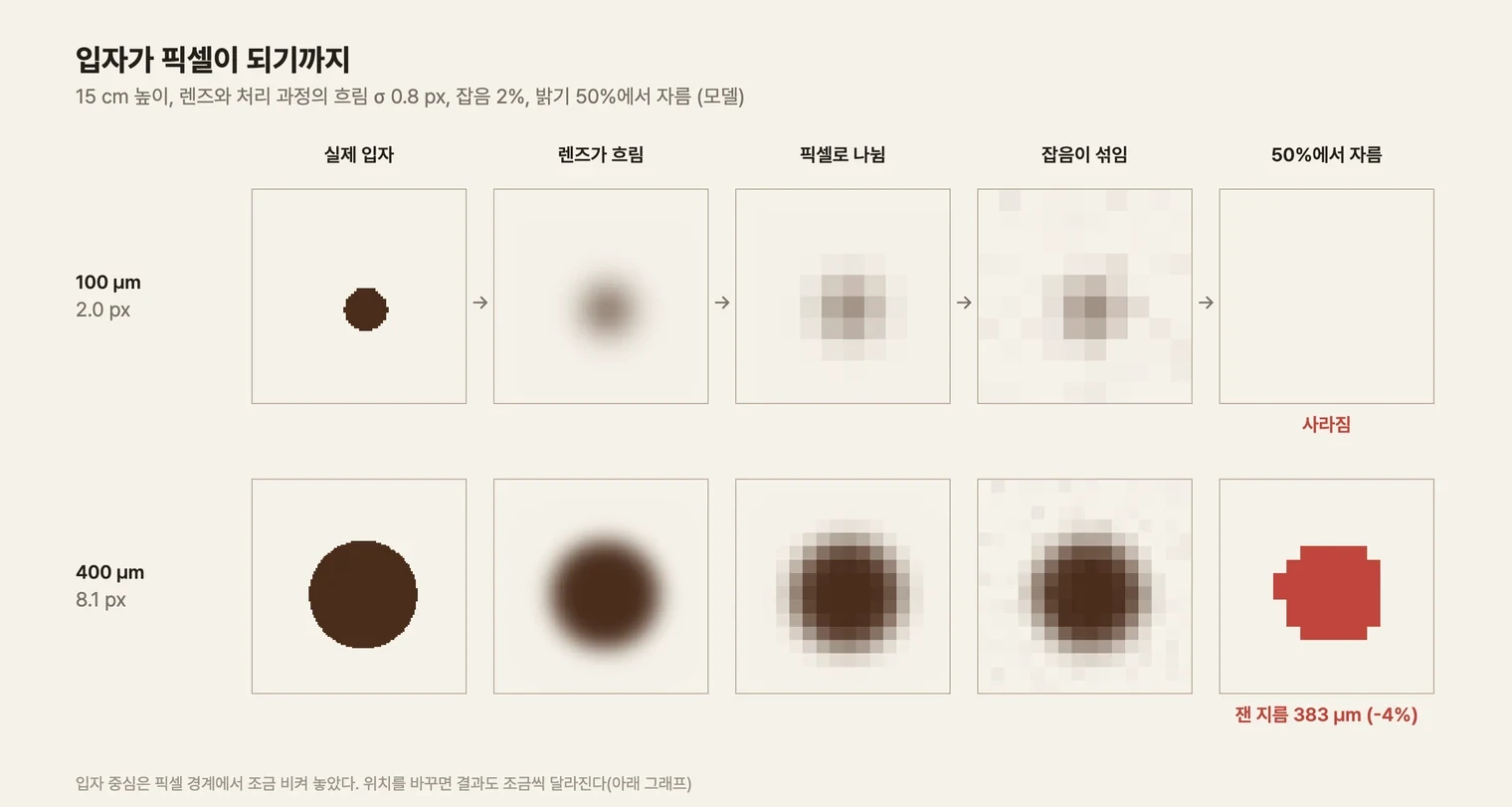 두 줄로 된 단계 그림. 위 줄은 100 µm 입자(2.0 px), 아래 줄은 400 µm 입자(8.1 px)다. 각 줄에 다섯 칸이 왼쪽에서 오른쪽으로 이어진다. 실제 입자는 또렷한 갈색 원, 렌즈가 흐림은 경계가 번진 원, 픽셀로 나뉨은 굵은 사각형 몇 개로 된 모자이크, 잡음이 섞임은 같은 모자이크에 얼룩이 낀 모양, 50%에서 자름은 빨간 칸으로 표시한 판정 결과다. 100 µm 줄의 마지막 칸은 비어 있고 '사라짐'이라고 적혀 있다. 400 µm 줄의 마지막 칸에는 빨간 칸이 원 모양으로 모여 있고 잰 지름이 적혀 있다
