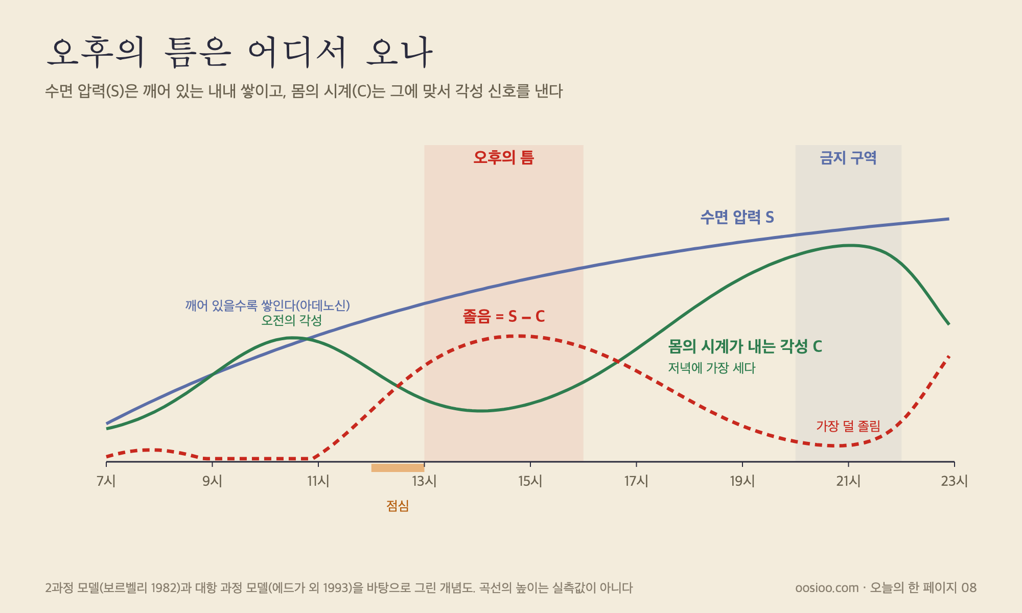 2과정 모델로 본 오후의 틈. 깨어 있는 동안 수면 압력(S)은 꾸준히 쌓인다. 몸의 시계가 내는 각성 신호(C)는 오후 늦게부터 저녁까지 가장 세다. 이른 오후는 압력이 꽤 쌓였는데 각성 신호가 아직 다 올라오지 않은 틈이다