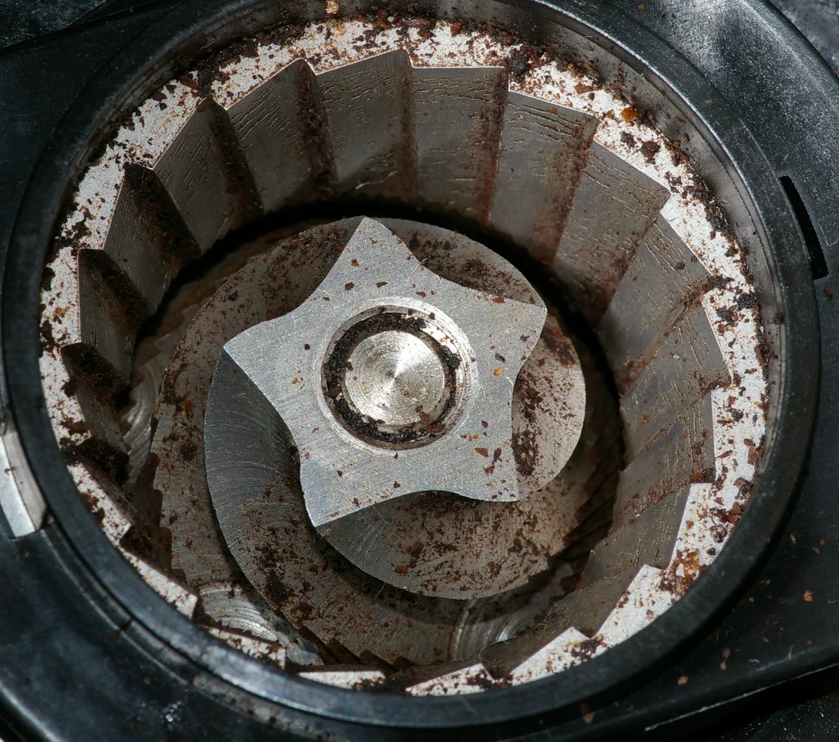 A top-down photo of a grinder with the hopper removed. The outer ring burr has large teeth, and a conical burr sits in the center. Coffee grounds cling to the blades