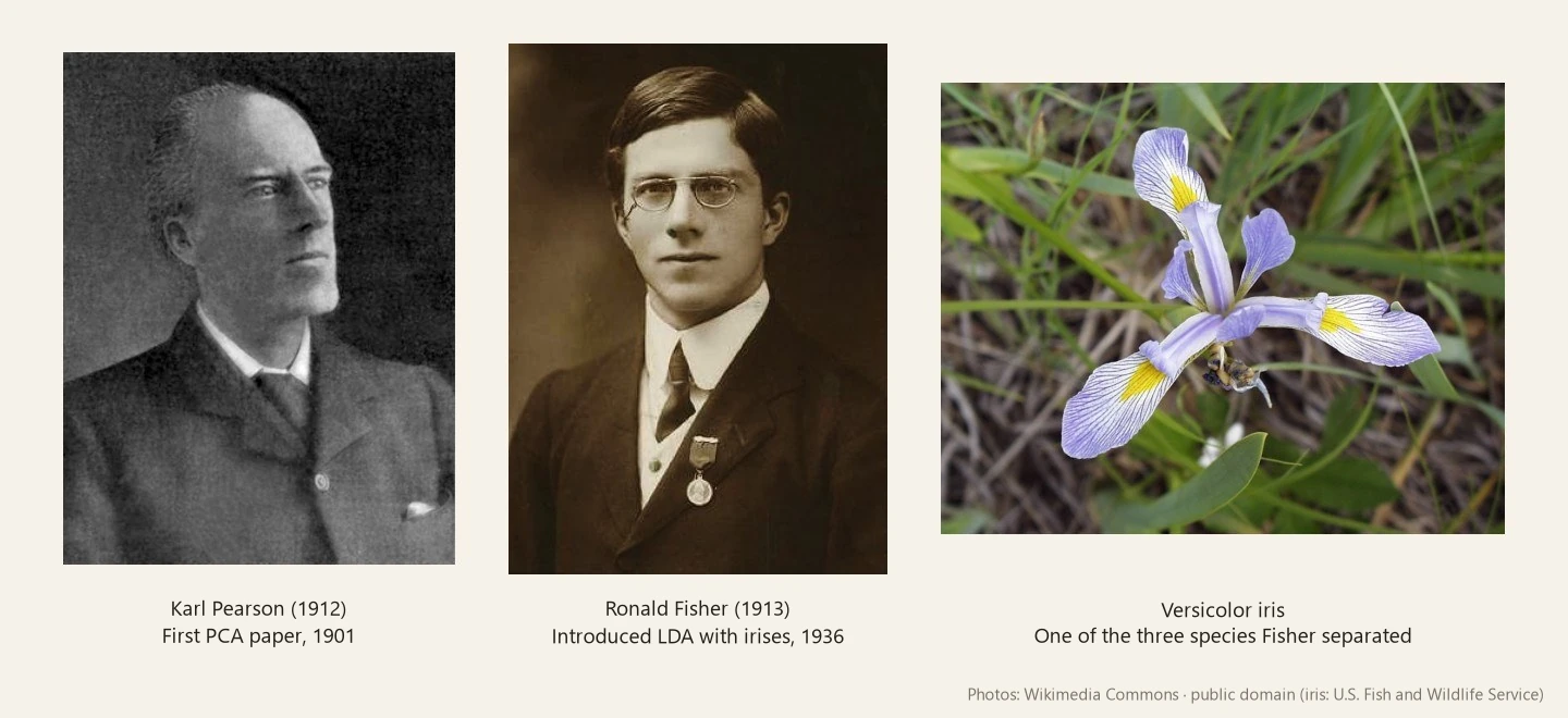 From left: Karl Pearson (1912), Ronald Fisher (1913), and the versicolor iris. Pearson published the first PCA paper in 1901; Fisher introduced LDA using iris data in 1936