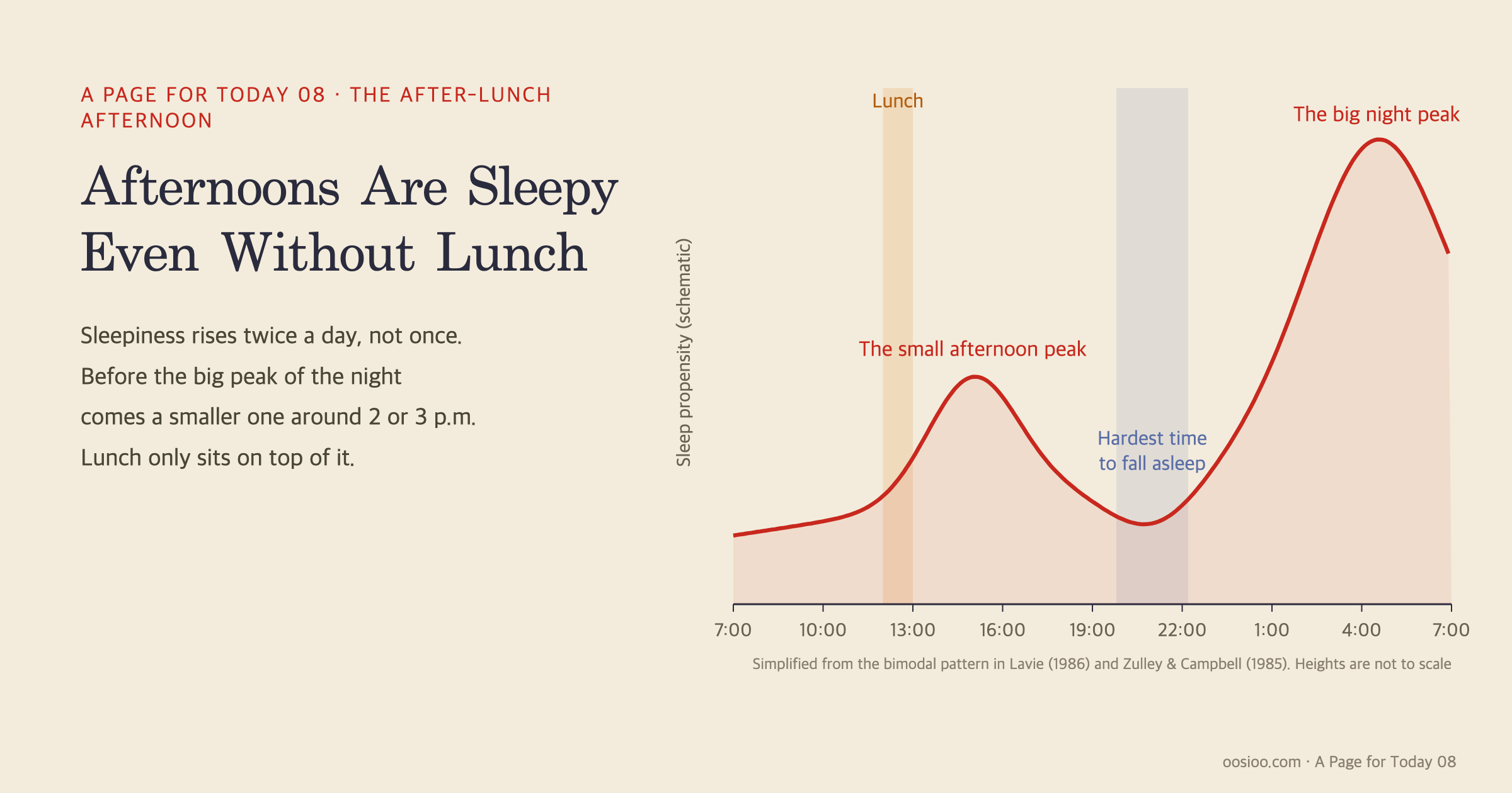 Afternoons are sleepy even without lunch. Sleepiness rises twice a day: a large peak before dawn and a smaller one around two or three in the afternoon, with the hardest time to fall asleep in between, around eight to ten at night