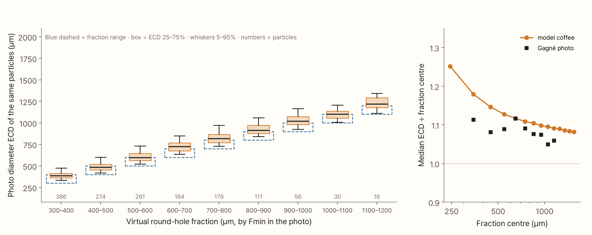 On the left, Gagné's photo particles sorted by Fmin into virtual round-hole fractions 100 µm wide, from 300–400 µm to 1100–1200 µm, with the photo diameters of the same particles drawn as box plots. Each fraction's range is marked by a blue dashed box; the photo-diameter boxes always sit a little above it, and the whiskers reach into neighbouring fractions. The fractions hold 386, 274, 261, 184, 176, 111, 56, 30 and 16 particles. On the right, median photo diameter ÷ fraction centre: the model coffee falls from 1.25 at 250 µm to 1.09 at 1,000 µm, and Gagné's photo lies between 1.05 and 1.12