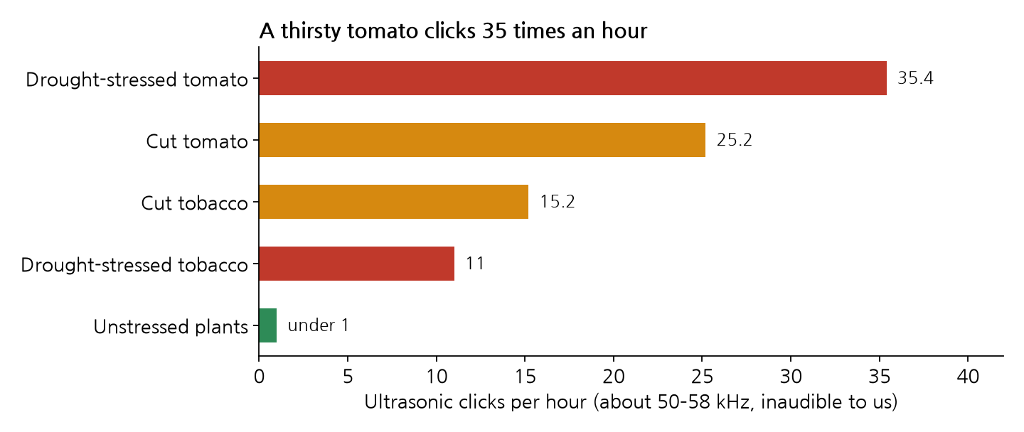 The number of ultrasonic clicks per hour emitted by plants deprived of water or with cut stems: 35.4 clicks for water-deprived tomatoes, 25.2 for tomatoes with cut stems, 15.2 for tobacco plants with cut stems, 11 for water-deprived tobacco plants, and fewer than 1 for healthy plants