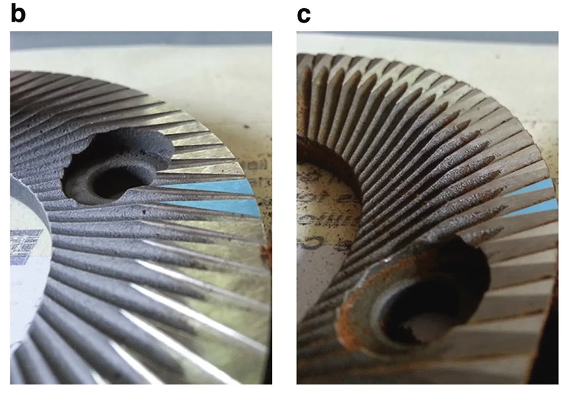 Close-up photos of two flat-burr types from a Mahlkönig EK43 grinder. On the left (b) is the Turkish burr, on the right (c) the coffee burr. Fine radial grooves run along the disc's edge, and the outer blade tips, where the two burrs differ, are highlighted in blue
