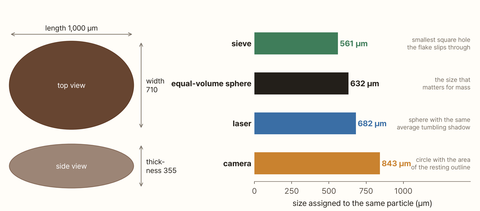 On the left, two brown ellipses: the top view, 1,000 µm long and 710 µm wide, and the side view, 355 µm thick. On the right, a horizontal bar chart of the size assigned to the same particle: sieve 561 µm (smallest square hole it slips through), equal-volume sphere 632 µm (the size that matters for mass), laser 682 µm (sphere with the same average tumbling shadow), camera 843 µm (circle with the area of the resting outline)