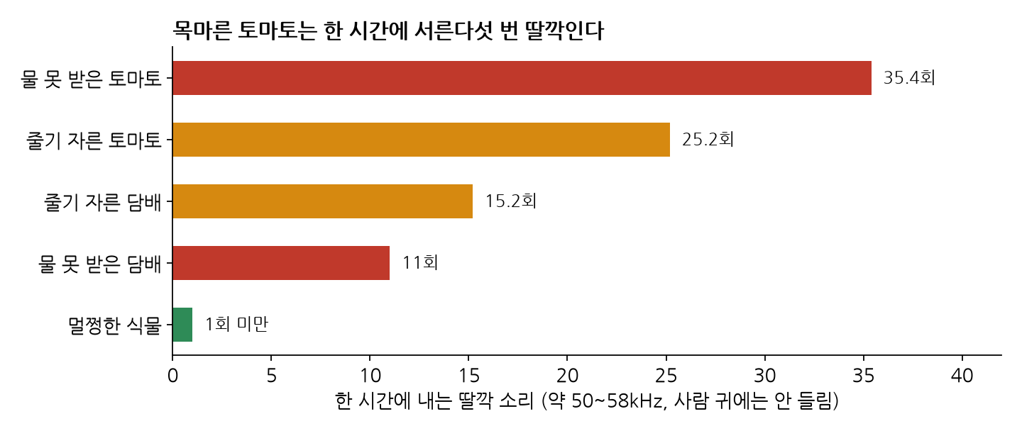 물을 못 받거나 줄기를 잘린 식물이 한 시간에 내는 초음파 딸깍 소리 횟수. 물 못 받은 토마토 35.4회, 줄기 자른 토마토 25.2회, 줄기 자른 담배 15.2회, 물 못 받은 담배 11회, 멀쩡한 식물은 1회 미만