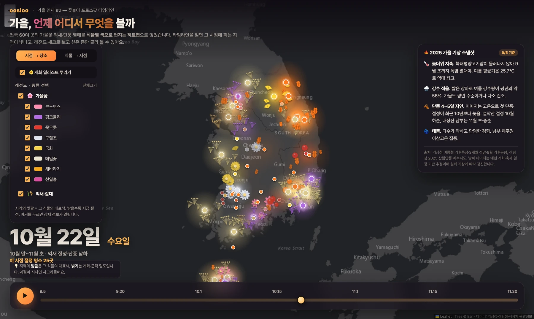 전국 가을 명소를 시간축에 얹은 지도. 어두운 남한 지도 위에 꽃과 단풍이 핀 자리가 색색으로 번져 있고, 각 자리에 그 식물 모양의 작은 그림이 흩뿌려져 있다. 화면 아래 타임라인 손잡이가 10월 22일에 놓여 있고 「이 시점 절정 명소 25곳」이라고 적혀 있다. 왼쪽에는 코스모스·핑크뮬리·꽃무릇·구절초·국화·메밀·해바라기·천일홍 같은 식물 목록이 각자의 색과 함께 있어 원하는 종만 골라 볼 수 있다. 오른쪽에는 2025년 가을 기상 요약이 있다 — 늦더위가 이어져 단풍이 평년보다 나흘에서 닷새 늦다는 내용이다.