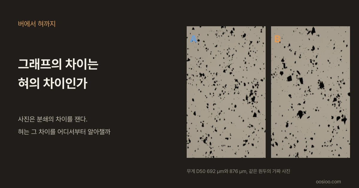 어두운 배경 왼쪽에 "버에서 혀까지"와 "그래프의 차이는 혀의 차이인가"라는 제목과 "사진은 분쇄의 차이를 잰다. 혀는 그 차이를 어디서부터 알아챌까"라는 문구가 있고, 오른쪽에는 무게 D50 692 µm와 876 µm인 가짜 커피 가루 사진 A와 B가 나란히 있다
