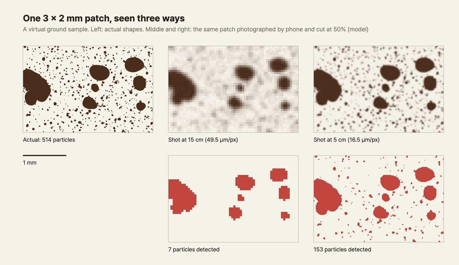 Three panels. The large left panel is the actual sample: a few large, lumpy brown particles with hundreds of tiny dots in between. In the middle column, the top image is the photo taken at 15 cm, where the large particles remain as blocky mosaics and the tiny dots have sunk into the background as faint smudges; below it, the result of cutting at 50% leaves only the large particles in red. In the right column, the top image is the photo taken at 5 cm, with smoother outlines on the large particles and the tiny dots visible as blurry specks; below it, the cutoff result catches the large particles plus some of the small red dots