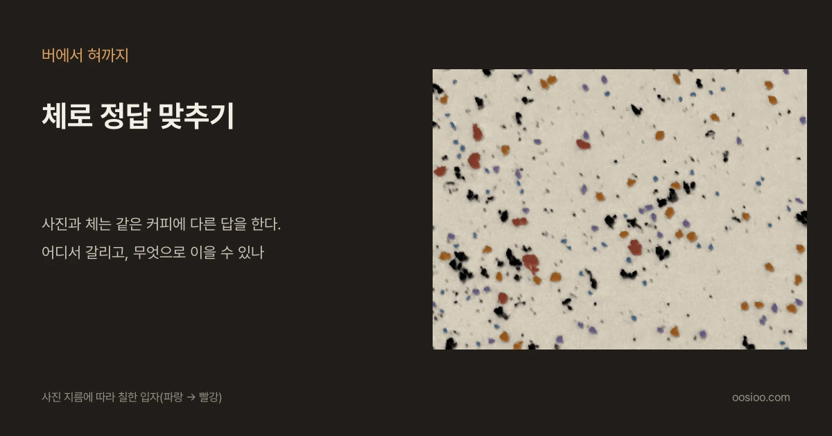 어두운 배경 왼쪽에 "버에서 혀까지"와 "체로 정답 맞추기"라는 제목과 "사진과 체는 같은 커피에 다른 답을 한다. 어디서 갈리고, 무엇으로 이을 수 있나"라는 문구가 있고, 오른쪽에는 커피 가루 사진의 입자를 사진 지름에 따라 파랑에서 빨강으로 칠한 그림이 있다