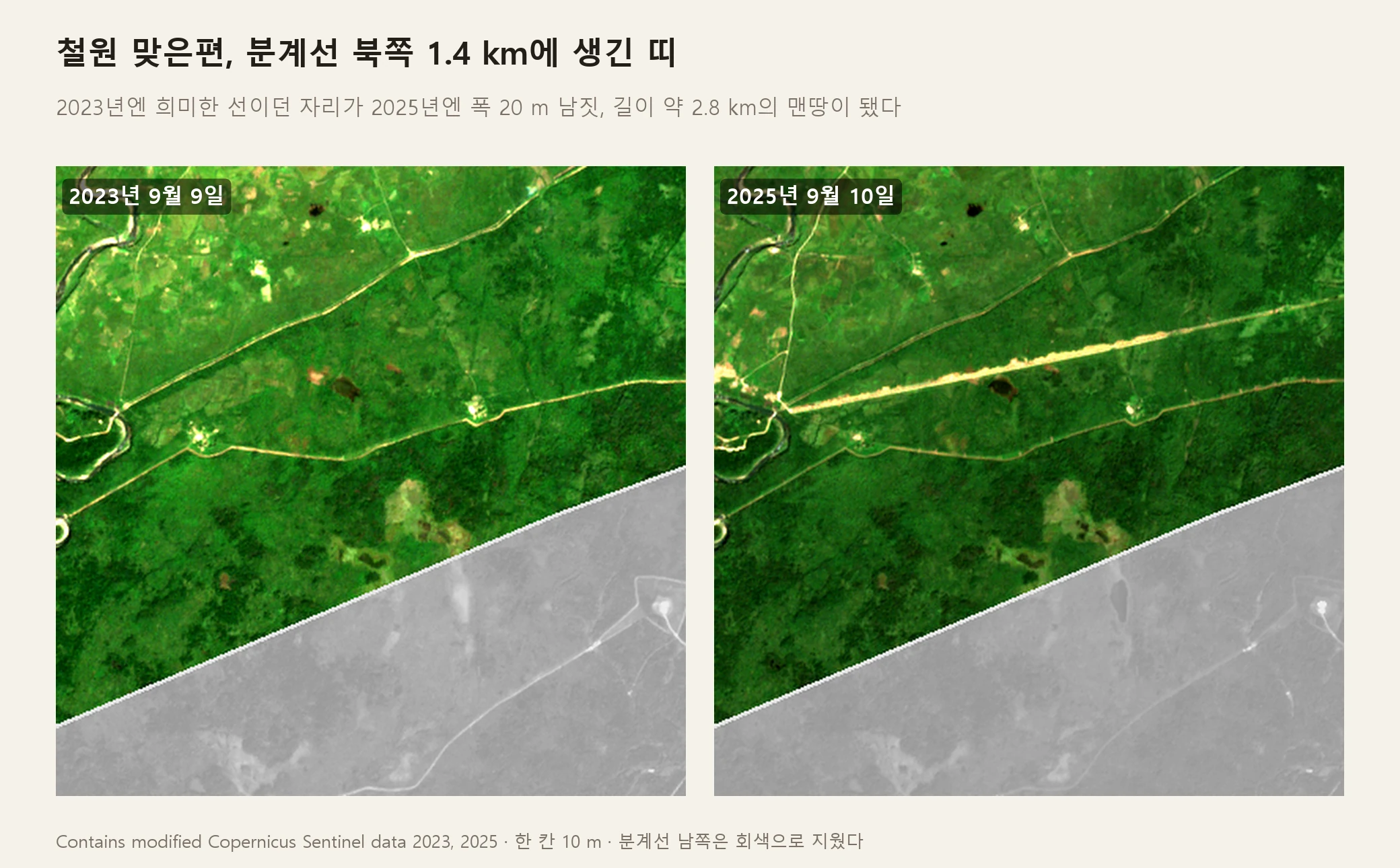 같은 자리를 찍은 위성 사진 두 장. 왼쪽 2023년 9월 9일 사진에는 숲 사이로 희미한 선만 있고, 오른쪽 2025년 9월 10일 사진에는 같은 자리에 폭 20 m 남짓, 길이 약 2.8 km의 밝은 맨땅 띠가 비스듬히 그어져 있다. 철원 맞은편 분계선 북쪽 1.4 km. 분계선 남쪽은 회색으로 지웠다 (Contains modified Copernicus Sentinel data 2023, 2025)