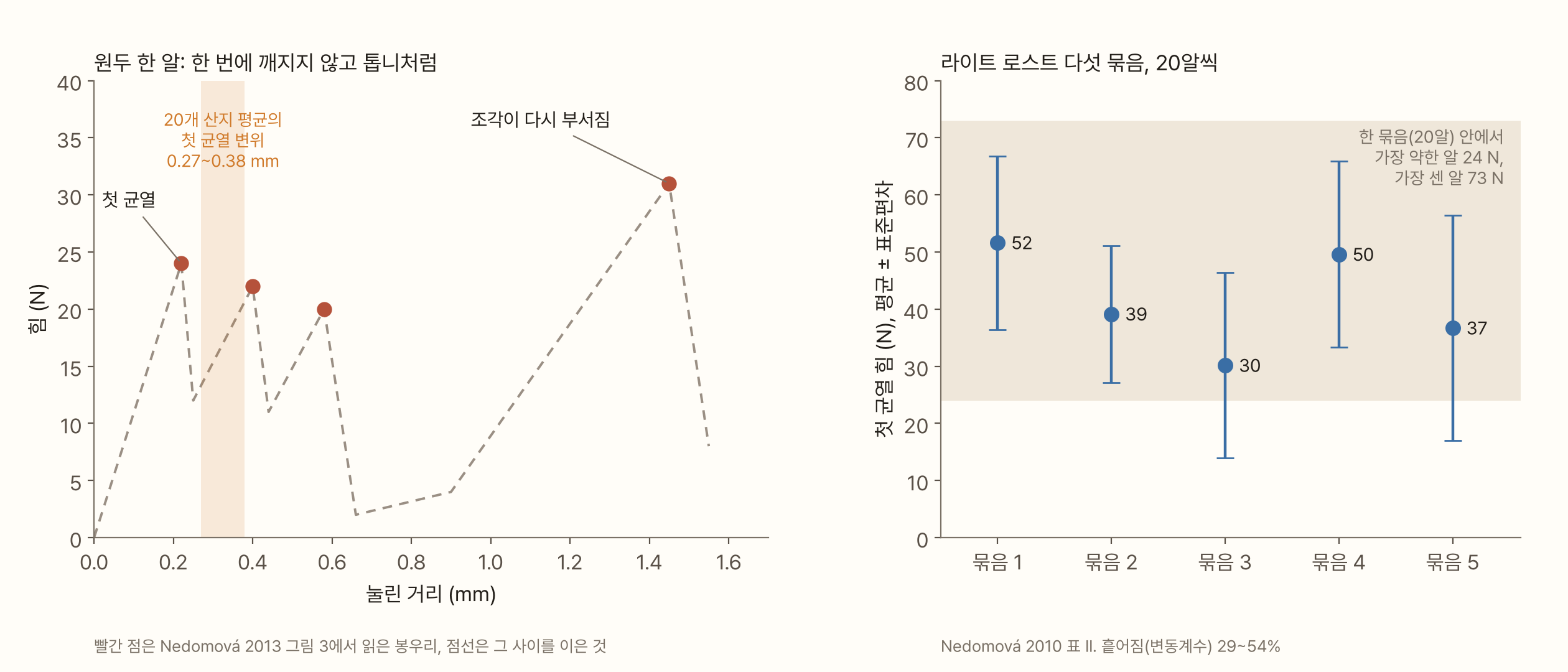 왼쪽 그래프는 가로축이 눌린 거리(0~1.6 mm), 세로축이 힘(0~40 N)이다. 원두 한 알의 봉우리 네 개가 빨간 점으로 찍혀 있다. 0.22 mm에서 24 N(첫 균열), 0.40 mm에서 22 N, 0.58 mm에서 20 N, 힘이 거의 0까지 떨어졌다가 1.45 mm에서 31 N(조각이 다시 부서짐)이다. 점 사이는 점선으로 이었다. 0.27~0.38 mm에 주황 띠로 20개 산지 평균의 첫 균열 변위가 표시돼 있다. 오른쪽 그래프는 라이트 로스트 다섯 묶음(20알씩)의 첫 균열 힘 평균과 표준편차다. 52 ± 15, 39 ± 12, 30 ± 16, 50 ± 16, 37 ± 20 N이고, 뒤의 연한 띠는 한 묶음 안에서 가장 약한 알 24 N부터 가장 센 알 73 N까지다