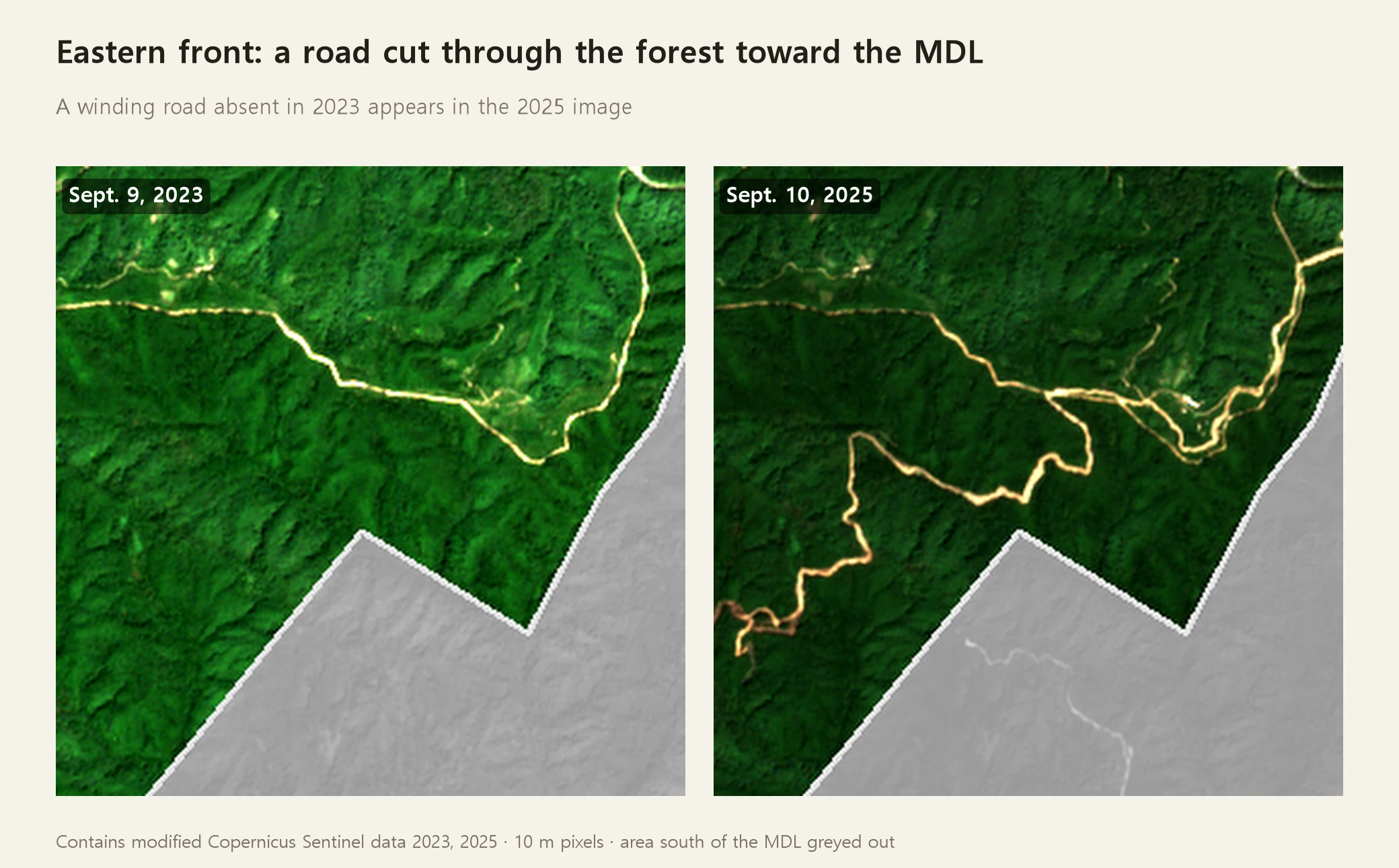 Two satellite photos north of the demarcation line on the eastern front. In September 2023, only a single road runs along the upper part of the forest; in September 2025, a new road is visible branching off that road and winding down through the forest toward the demarcation line. The area south of the demarcation line has been redacted in gray (Contains modified Copernicus Sentinel data 2023, 2025)