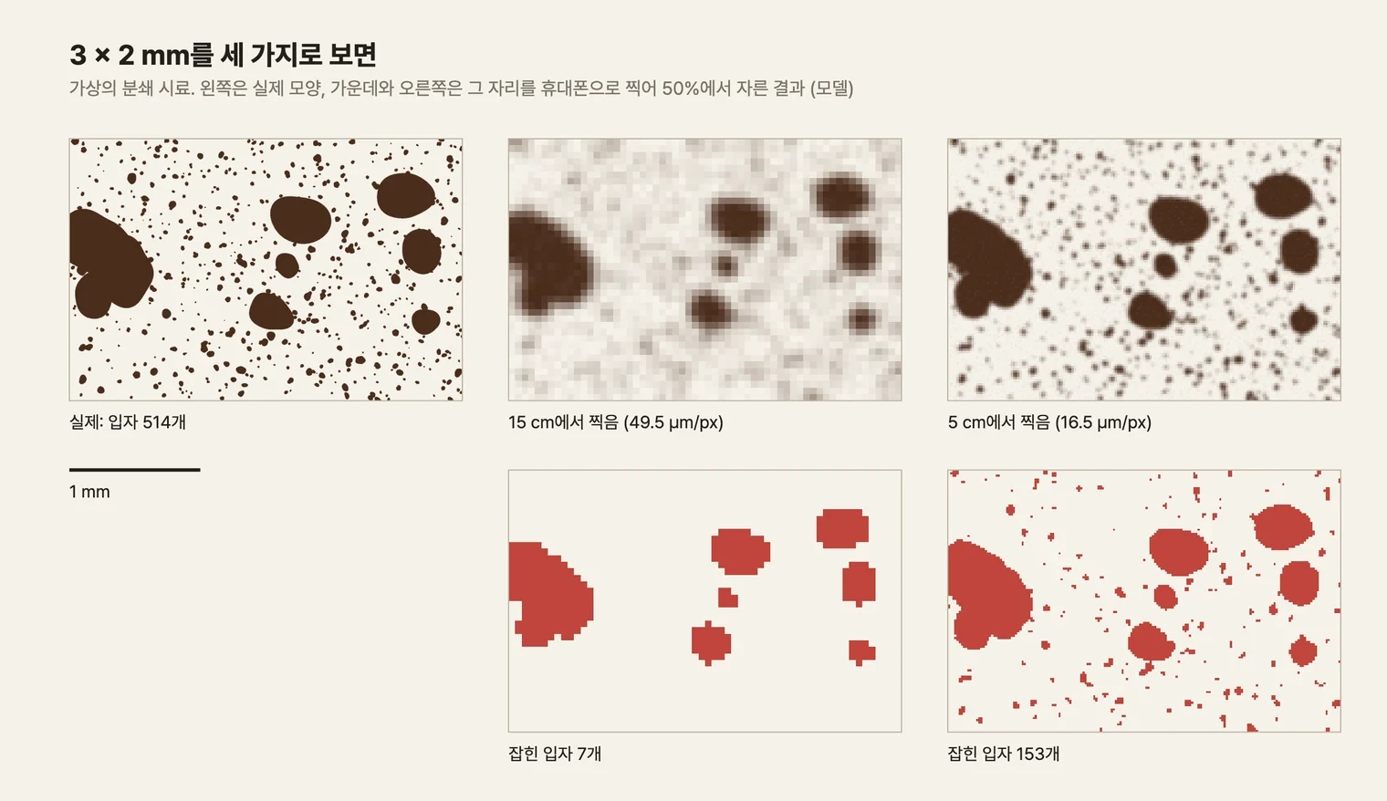 세 칸으로 된 그림. 왼쪽 큰 칸은 실제 시료로, 크고 울퉁불퉁한 갈색 입자 몇 개와 그 사이를 채운 수백 개의 작은 점이 보인다. 가운데 칸 위쪽은 15 cm에서 찍은 사진으로, 큰 입자들은 각진 모자이크로 남아 있고 작은 점들은 배경에 옅은 얼룩처럼 묻혔다. 그 아래는 50%에서 자른 결과로 큰 입자만 빨갛게 남았다. 오른쪽 칸 위쪽은 5 cm에서 찍은 사진으로, 큰 입자 윤곽이 더 매끄럽고 작은 점들이 흐린 점으로 보인다. 그 아래 자른 결과에는 큰 입자와 함께 작은 빨간 점 일부가 잡혀 있다