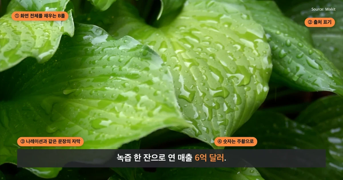 해설 영상 한 화면을 뜯어 본 그림. 화면 전체를 채우는 B롤, 오른쪽 위 출처 표기, 나레이션과 같은 문장의 하단 자막, 주황으로 강조한 숫자 6억 달러