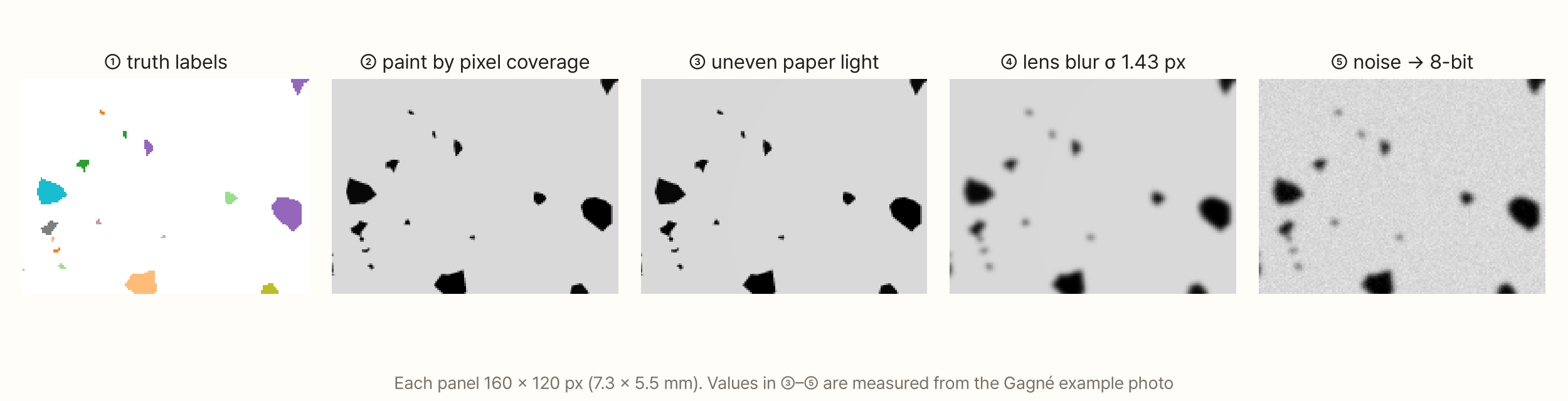 Five zoomed panels of the same spot showing how a fake photo is built. ① truth labels with each particle in a different colour, ② black particles printed crisply on grey paper, ③ uneven paper brightness, ④ blurred edges, ⑤ the final photo with fine grainy noise