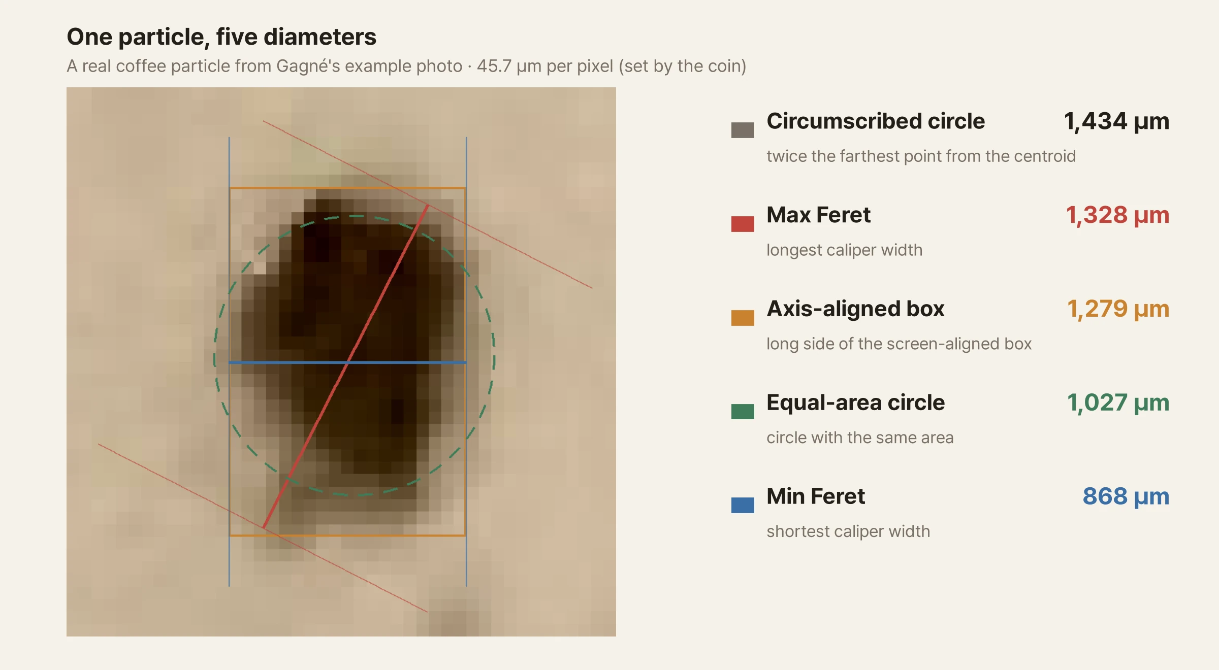 On the left, a single coffee particle is enlarged so the pixels are visible. Overlaid on it are a red line (the longest width) with two parallel red lines, a blue line (the shortest width) with two parallel blue lines, a green dotted circle (the circle of equal area), and an orange rectangle (a box aligned to the photo's horizontal and vertical axes). On the right, five diameters are listed: circumscribed circle 1,434 µm, Feret max 1,328 µm, axis-aligned box 1,279 µm, equivalent circle 1,027 µm, Feret min 868 µm.
