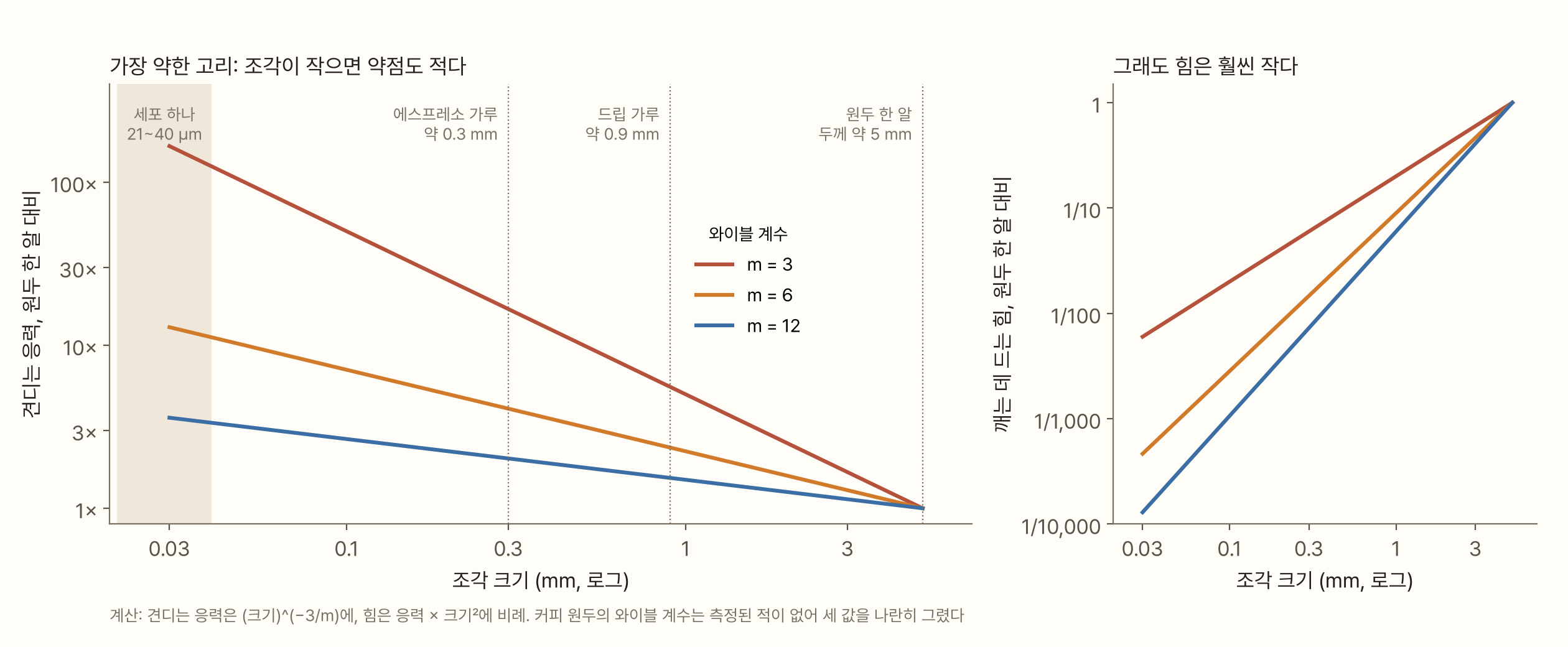 왼쪽 그래프는 가로축이 조각 크기(0.03~5 mm, 로그), 세로축이 원두 한 알 대비 견디는 응력(로그)이다. 와이블 계수 m = 3(빨강), 6(주황), 12(파랑)의 세 직선이 원두 한 알 크기(5 mm)에서 1배로 만나고, 작은 쪽으로 갈수록 올라간다. 에스프레소 가루(약 0.3 mm)에서 m 3은 약 17배, m 6은 약 4배, m 12는 약 2배다. 세포 하나 크기(21~40 µm)에는 연한 띠가 있다. 오른쪽 그래프는 깨는 데 드는 힘으로, 세 선이 모두 작은 쪽으로 갈수록 내려가서 0.3 mm에서 원두 한 알의 약 1/17~1/140이 된다