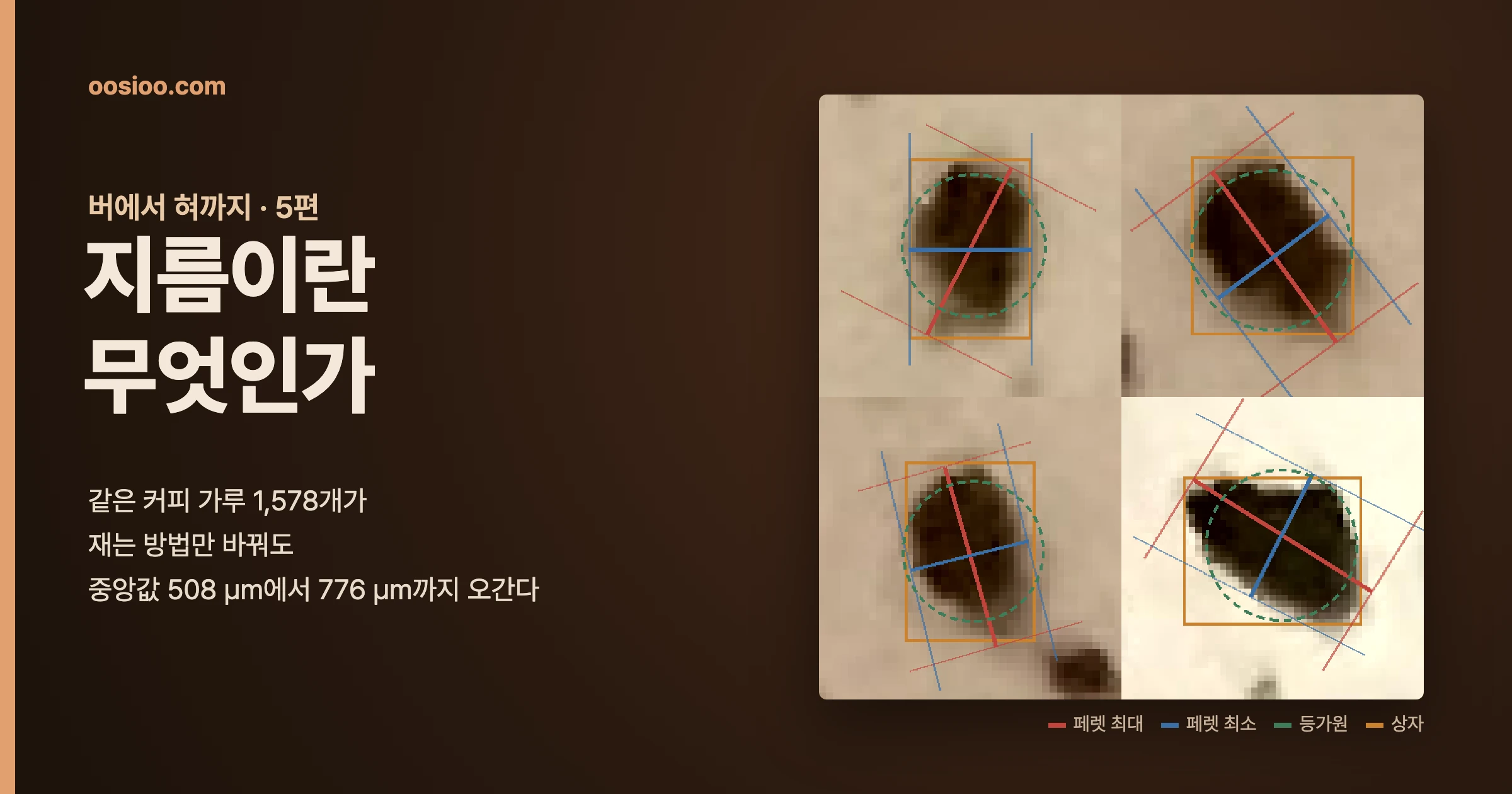 갈색 배경 왼쪽에 "버에서 혀까지 · 5편, 지름이란 무엇인가"라는 제목이 있고, 오른쪽에 실제 커피 입자 네 개를 확대한 사진 위로 가장 긴 폭(빨강), 가장 짧은 폭(파랑), 넓이가 같은 원(초록 점선), 축에 맞춘 상자(주황)가 겹쳐 그려져 있다