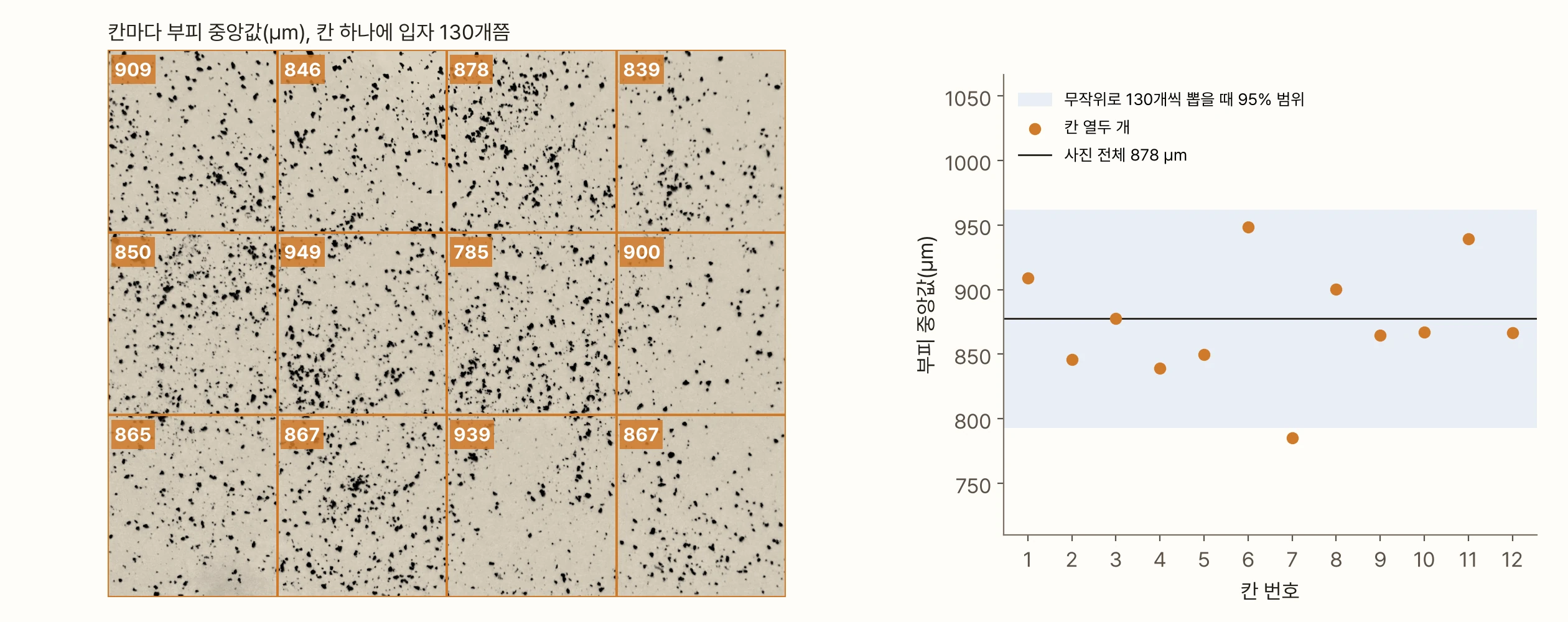 왼쪽은 가녜 사진을 4 × 3 칸으로 나눈 것으로, 칸마다 부피 중앙값이 적혀 있다. 909, 846, 878, 839 / 850, 949, 785, 900 / 865, 867, 939, 867 µm다. 오른쪽 그래프는 열두 칸의 값을 점으로 찍은 것으로, 사진 전체 값 878 µm에 가로선이 있고 무작위로 130개씩 뽑을 때의 95% 범위가 띠로 칠해져 있다. 열두 점 가운데 열한 개가 띠 안에 들고, 785 µm인 7번 칸만 띠 조금 아래에 있다