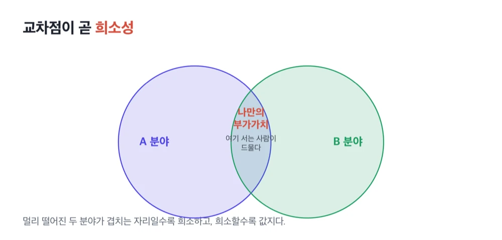 두 분야가 겹치는 교차점이 희소한 부가가치가 된다는 벤다이어그램