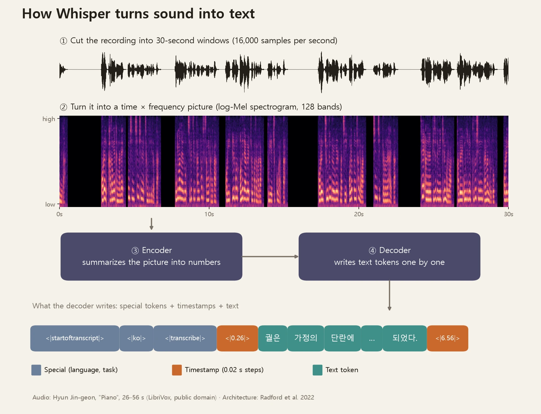 How Whisper turns sound into text. The audio is cut into 30-second windows and turned into a time-by-frequency picture (log-Mel spectrogram); the encoder reads the picture, and the decoder writes text tokens one by one along with language, task and timestamp markers