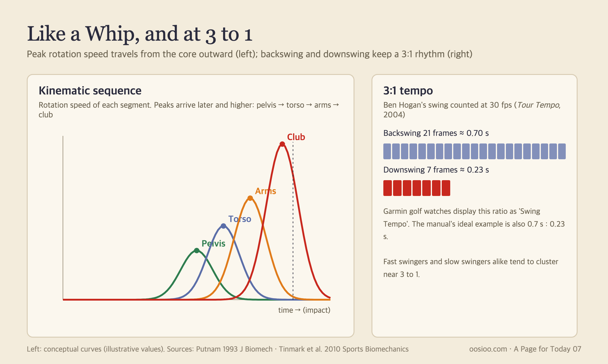 The kinematic sequence and the 3:1 tempo. Peak rotation speed arrives later and higher in order: pelvis, torso, arms, club. Ben Hogan used 21 frames for his backswing and 7 for his downswing