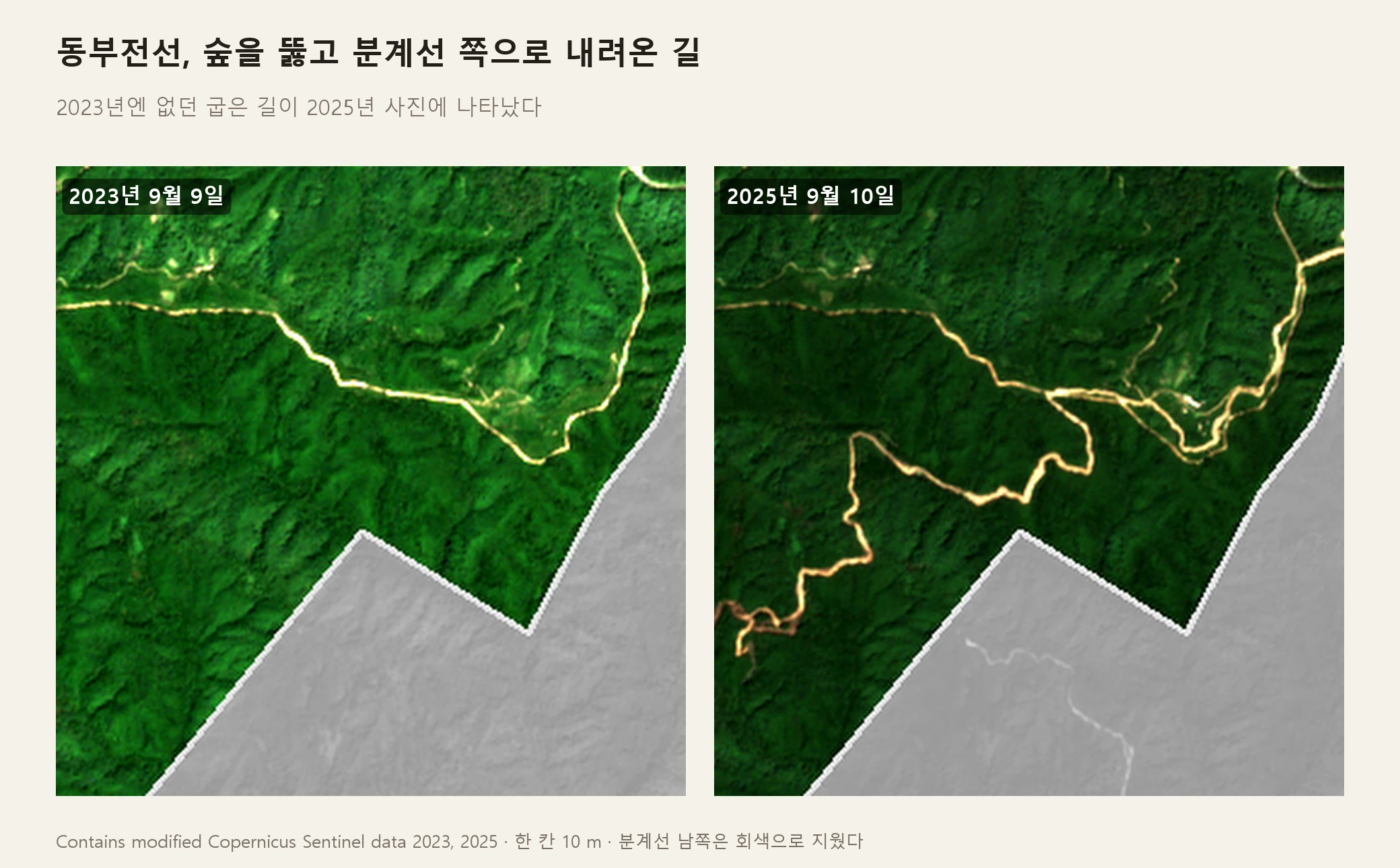 동부전선 분계선 북쪽의 위성 사진 두 장. 2023년 9월에는 숲 위쪽으로 길 하나만 지나가는데, 2025년 9월에는 그 길에서 갈라져 숲을 굽이굽이 뚫고 분계선 쪽으로 내려오는 새 길이 보인다. 분계선 남쪽은 회색으로 지웠다 (Contains modified Copernicus Sentinel data 2023, 2025)