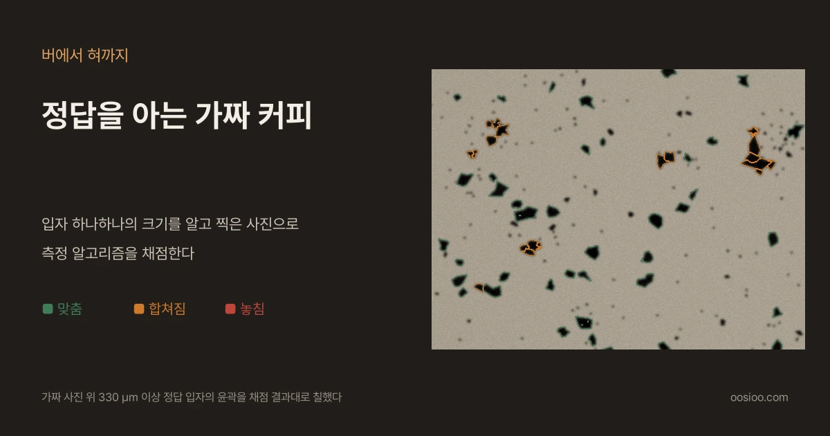 어두운 배경 왼쪽에 "버에서 혀까지"와 "정답을 아는 가짜 커피"라는 제목, 맞춤·합쳐짐·놓침 범례가 있고, 오른쪽에는 가짜 커피 사진 위에 정답 입자 윤곽이 초록(맞춤)과 주황(합쳐짐)으로 칠해져 있다