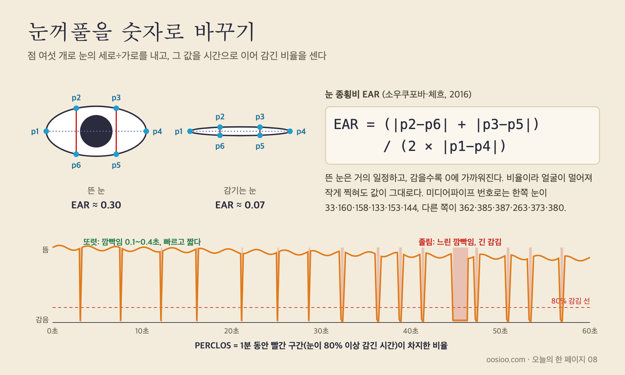 눈 종횡비(EAR)와 PERCLOS. 눈 둘레 여섯 점에서 세로 두 줄의 합을 가로 길이의 두 배로 나눈다. 눈을 뜨면 거의 일정하고 감으면 0에 가까워진다. 이 값을 시간으로 이어 80% 이상 감긴 구간의 비율을 내면 PERCLOS가 된다