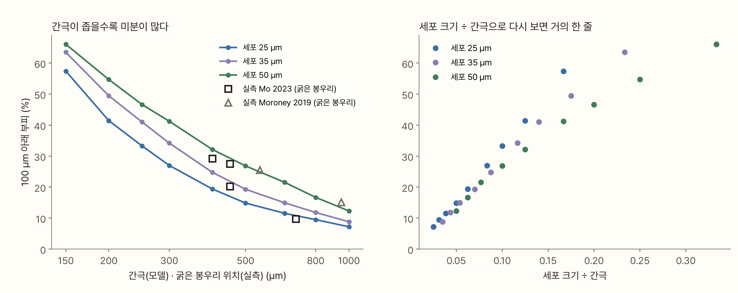 두 그래프. 왼쪽은 가로축이 간극(모델) 또는 큰 봉우리 위치(실측) 150~1,000 µm(로그), 세로축이 100 µm 아래 부피(%)다. 세포 25, 35, 50 µm 세 곡선이 모두 간극이 넓어질수록 내려가고, 세포가 클수록 위에 있다. 세포 35 µm 곡선은 간극 400 µm에서 25%, 800 µm에서 12%다. 실측 점으로 모 등 2023의 네 가루(네모, 400~700 µm에서 29.2~9.7%)와 모로니 등 2019의 두 가루(세모, 550 µm에서 25.5%, 950 µm에서 15.1%)가 함께 찍혀 있다. 오른쪽은 가로축을 세포 크기 ÷ 간극으로 바꾼 것으로, 세 곡선의 점들이 0.1 아래에서는 거의 한 줄에 모이고 그 위에서는 조금 벌어진다