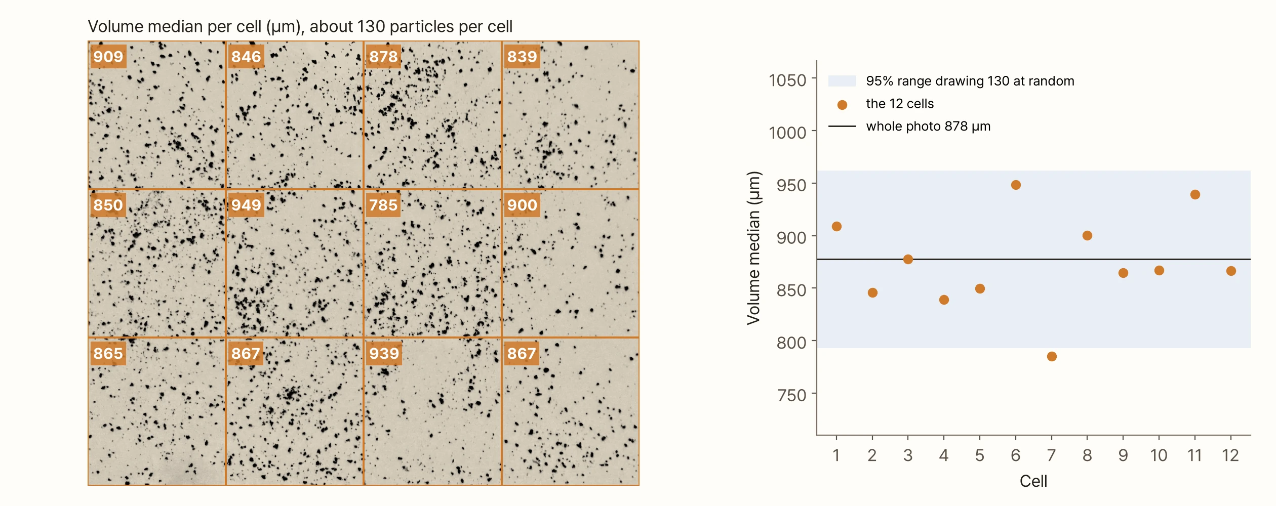 On the left, Gagné's photo split into 4 × 3 cells, each labelled with its volume median: 909, 846, 878, 839 / 850, 949, 785, 900 / 865, 867, 939, 867 µm. The graph on the right plots the twelve values as dots, with a horizontal line at the whole-photo value of 878 µm and a band for the 95% range when drawing 130 at random. Eleven of the twelve dots fall inside the band; only cell 7, at 785 µm, sits slightly below it