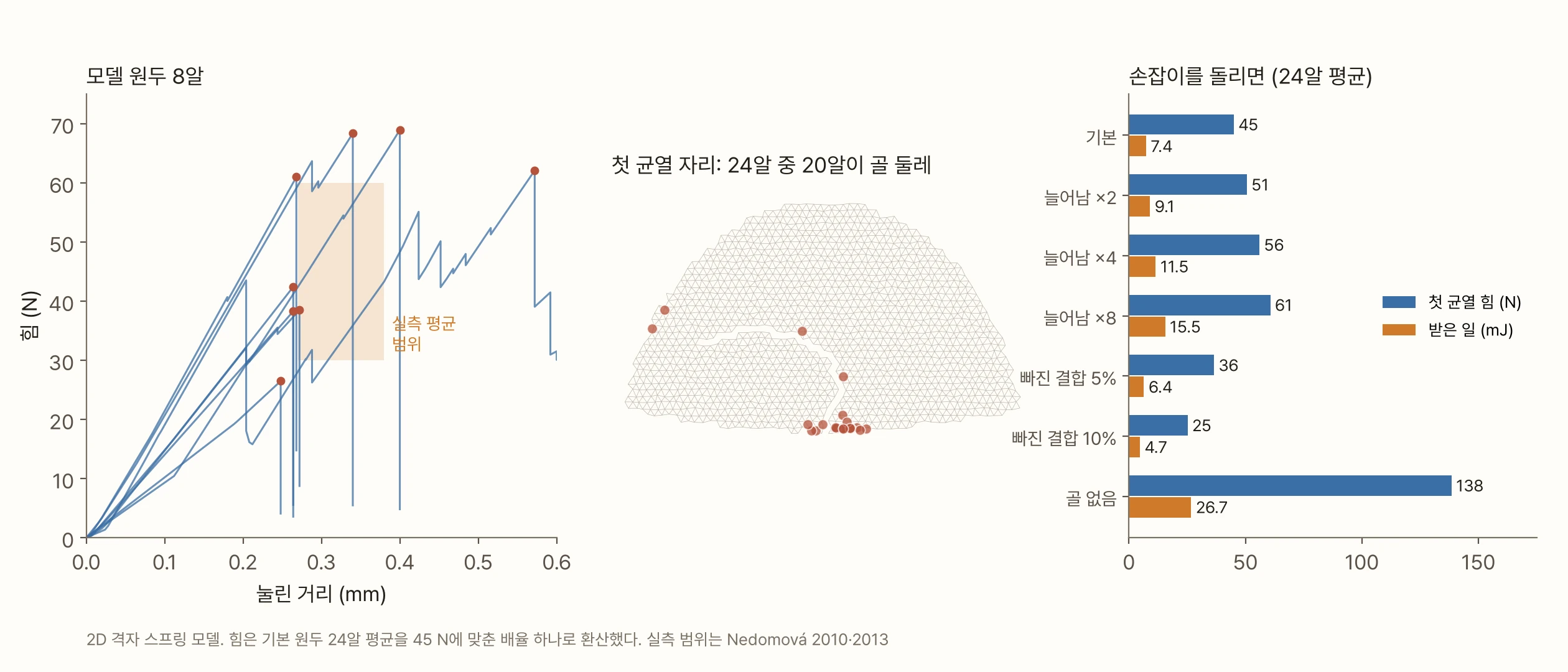 왼쪽 그래프는 가로축이 눌린 거리(0~0.6 mm), 세로축이 힘(0~75 N)이다. 모델 원두 8알의 힘 곡선이 파란 선으로 겹쳐 있고 봉우리마다 빨간 점이 있다. 봉우리는 27~69 N, 0.25~0.57 mm에 흩어져 있고, 주황 상자(실측 평균 범위 30~60 N, 0.27~0.38 mm)를 가운데 두고 퍼져 있다. 가운데 그림은 모델 원두 단면 위에 24알의 첫 균열 자리를 빨간 점으로 찍은 것으로, 24알 중 20알이 아래 가운데 골 둘레에 몰려 있다. 오른쪽 가로 막대그래프는 24알 평균의 첫 균열 힘(파랑)과 받은 일(주황)이다. 기본 45 N·7.4 mJ, 늘어남 ×2 51 N·9.1 mJ, ×4 56 N·11.5 mJ, ×8 61 N·15.5 mJ, 빠진 결합 5% 36 N·6.4 mJ, 10% 25 N·4.7 mJ, 골 없음 138 N·26.7 mJ